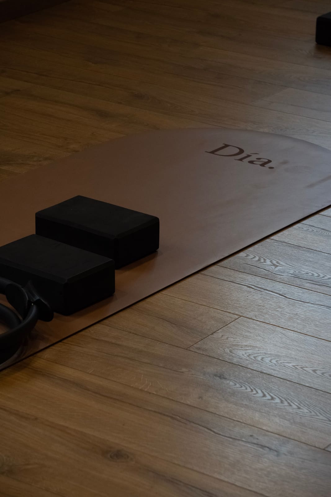 Dia Wellness Club — a-64-DSC09950
