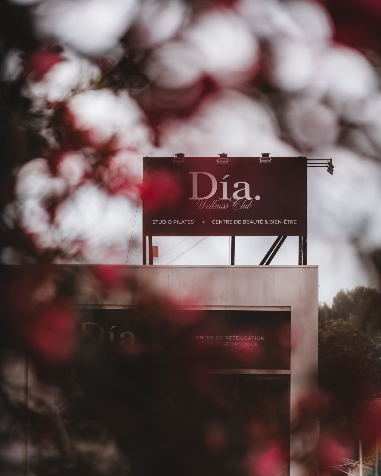 Dia Wellness Club — a-THI00609
