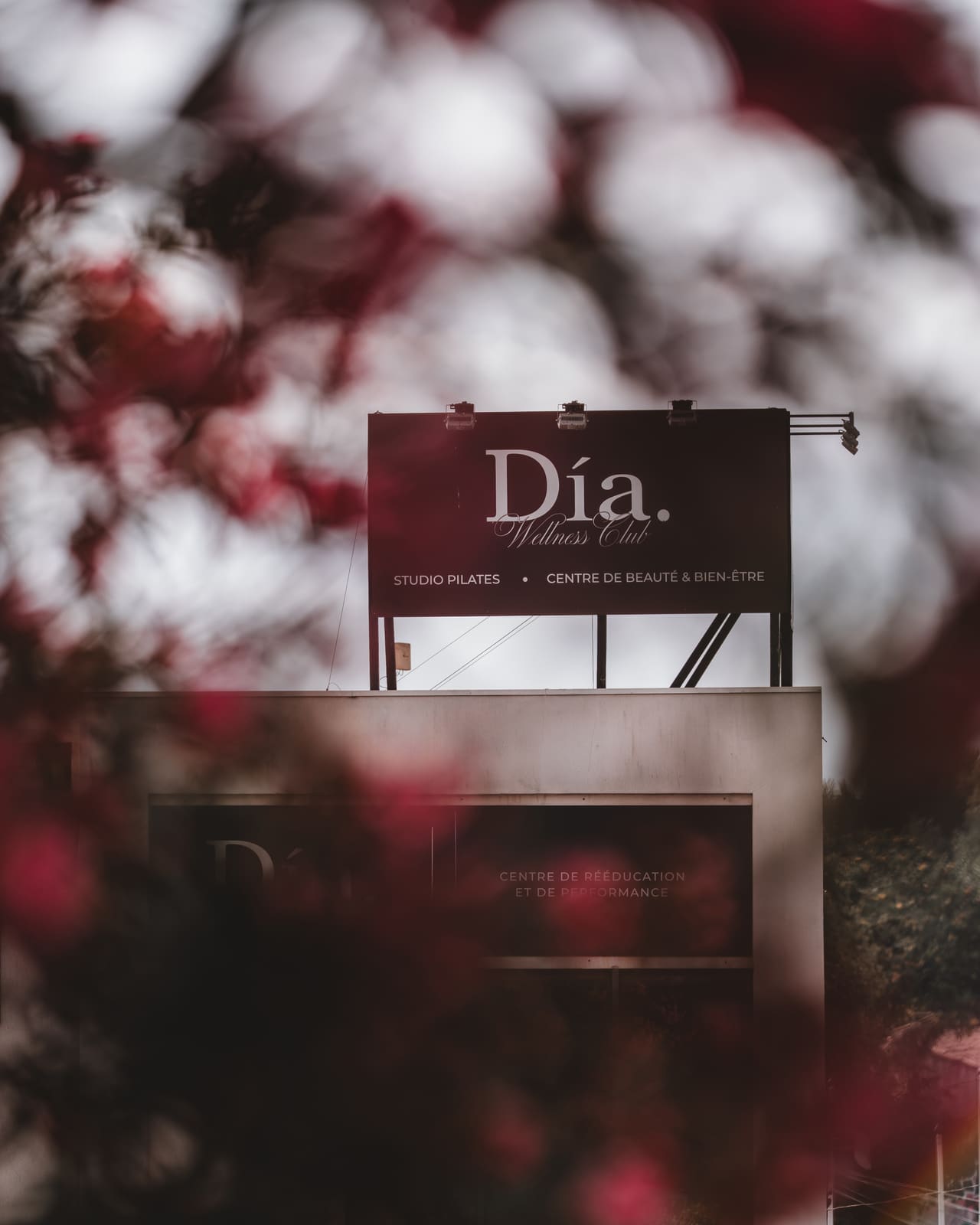 Dia Wellness Club — a-THI00612