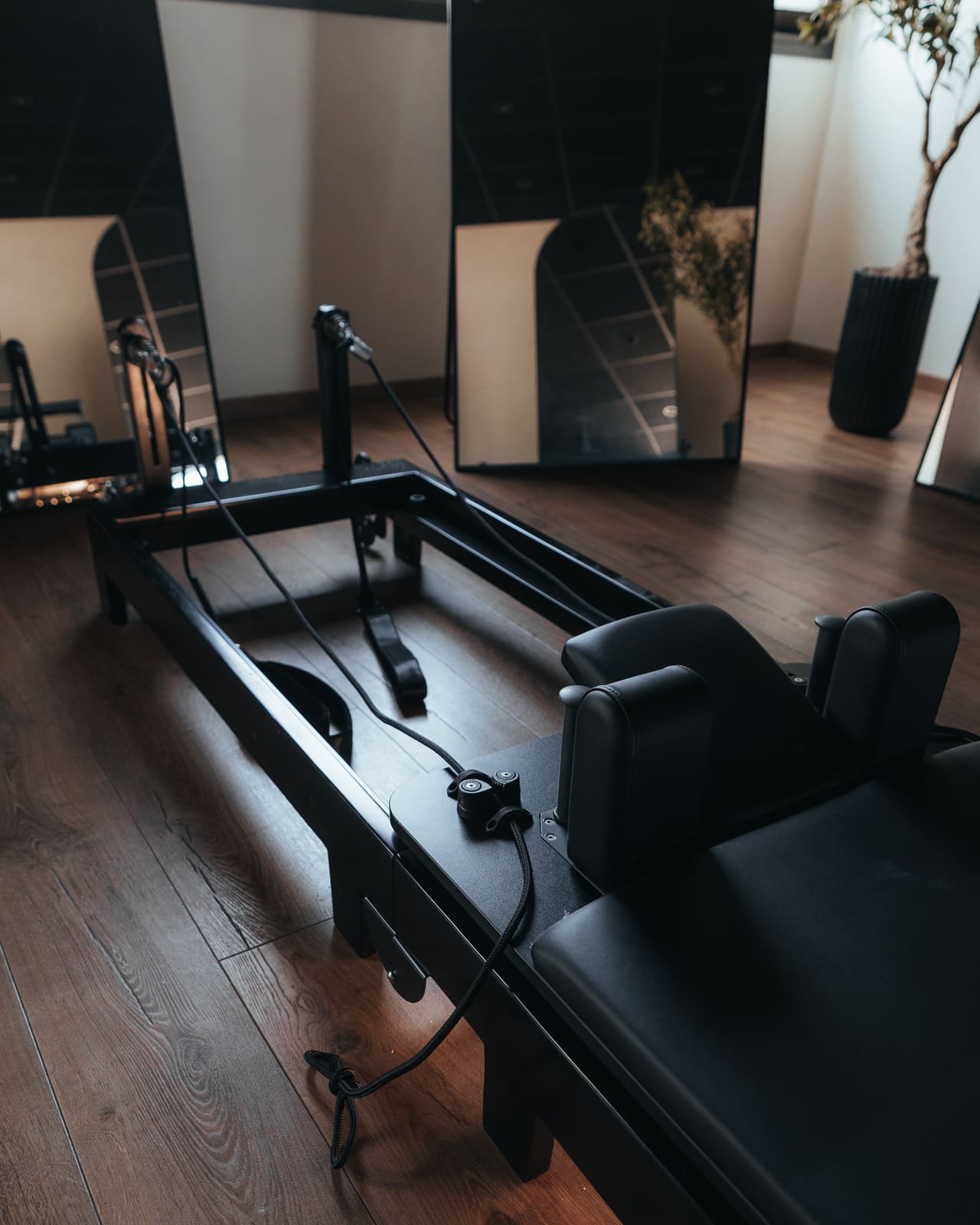 Dia Wellness Club — b-THI01459