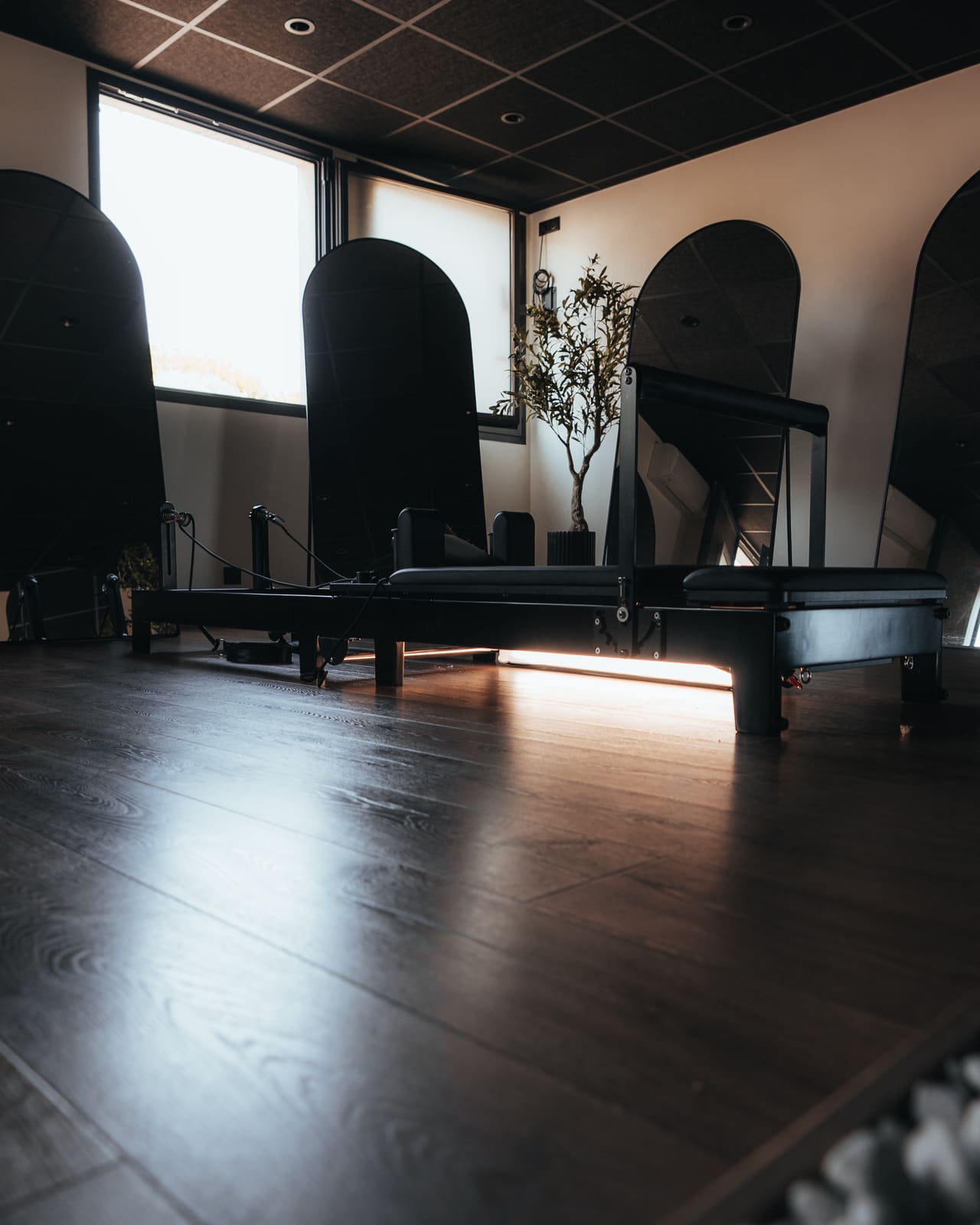 Dia Wellness Club — b-THI01466