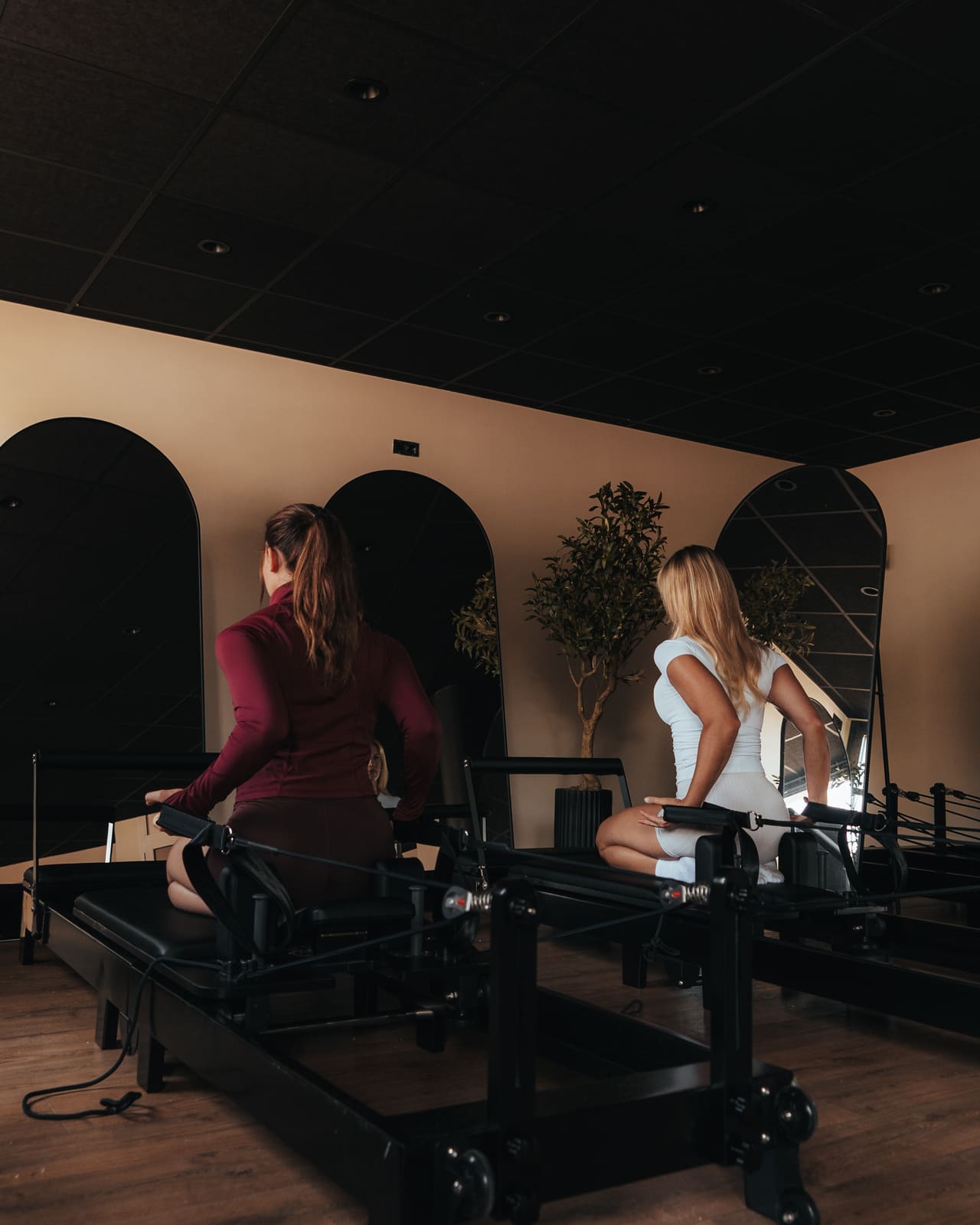 Dia Wellness Club — b-THI01694