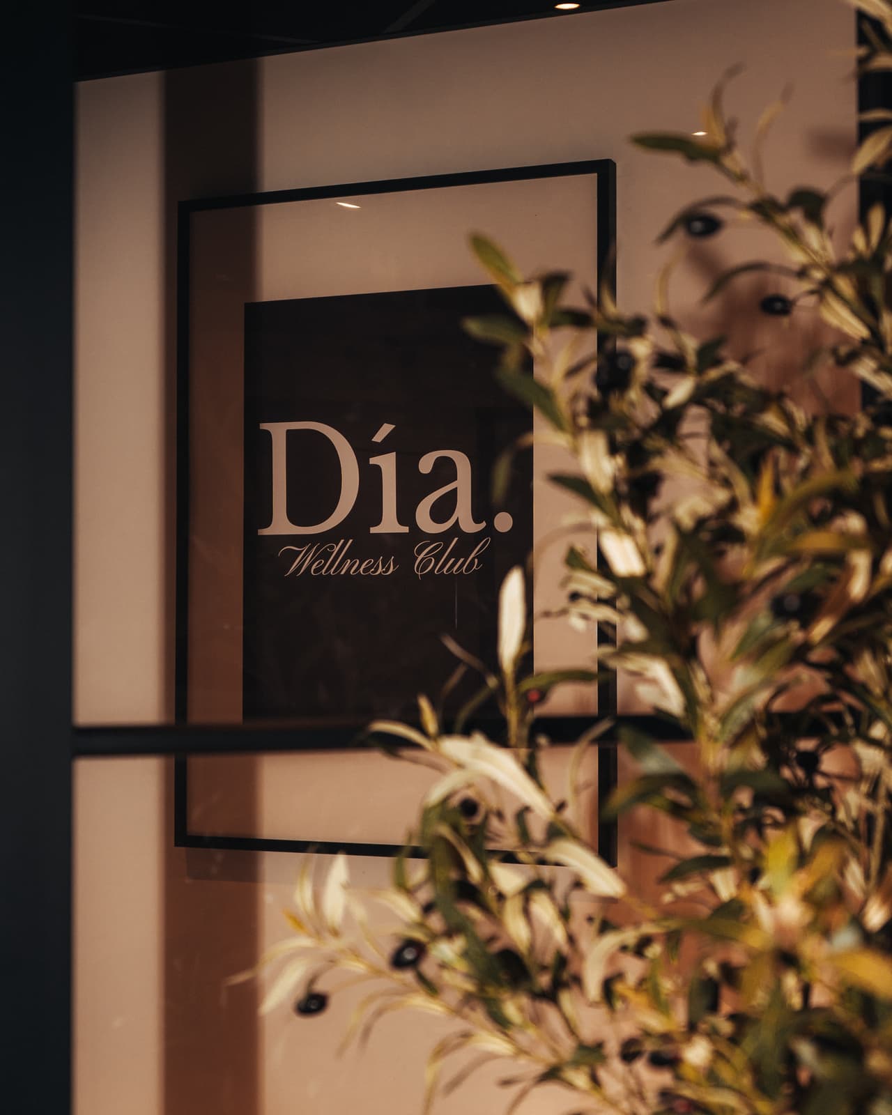 Dia Wellness Club — Cours collectif — THI05629