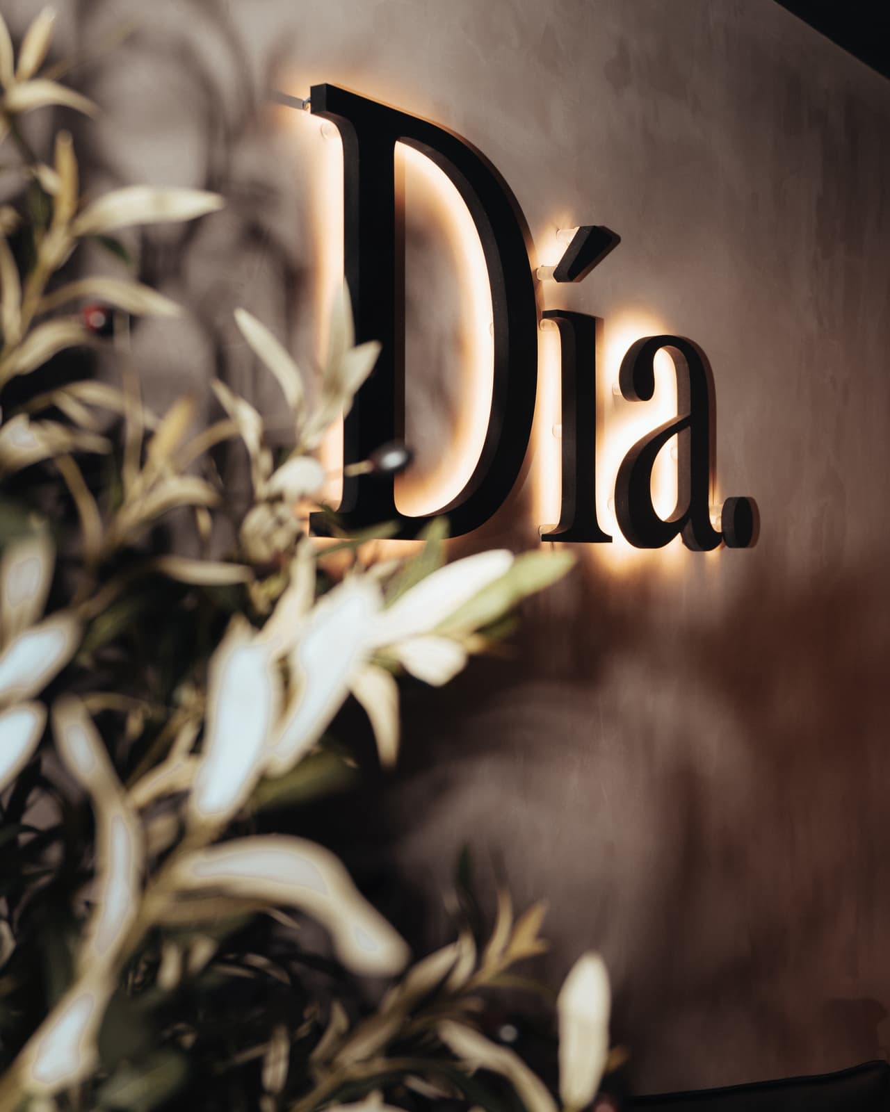 Dia Wellness Club — Cours collectif — THI05636