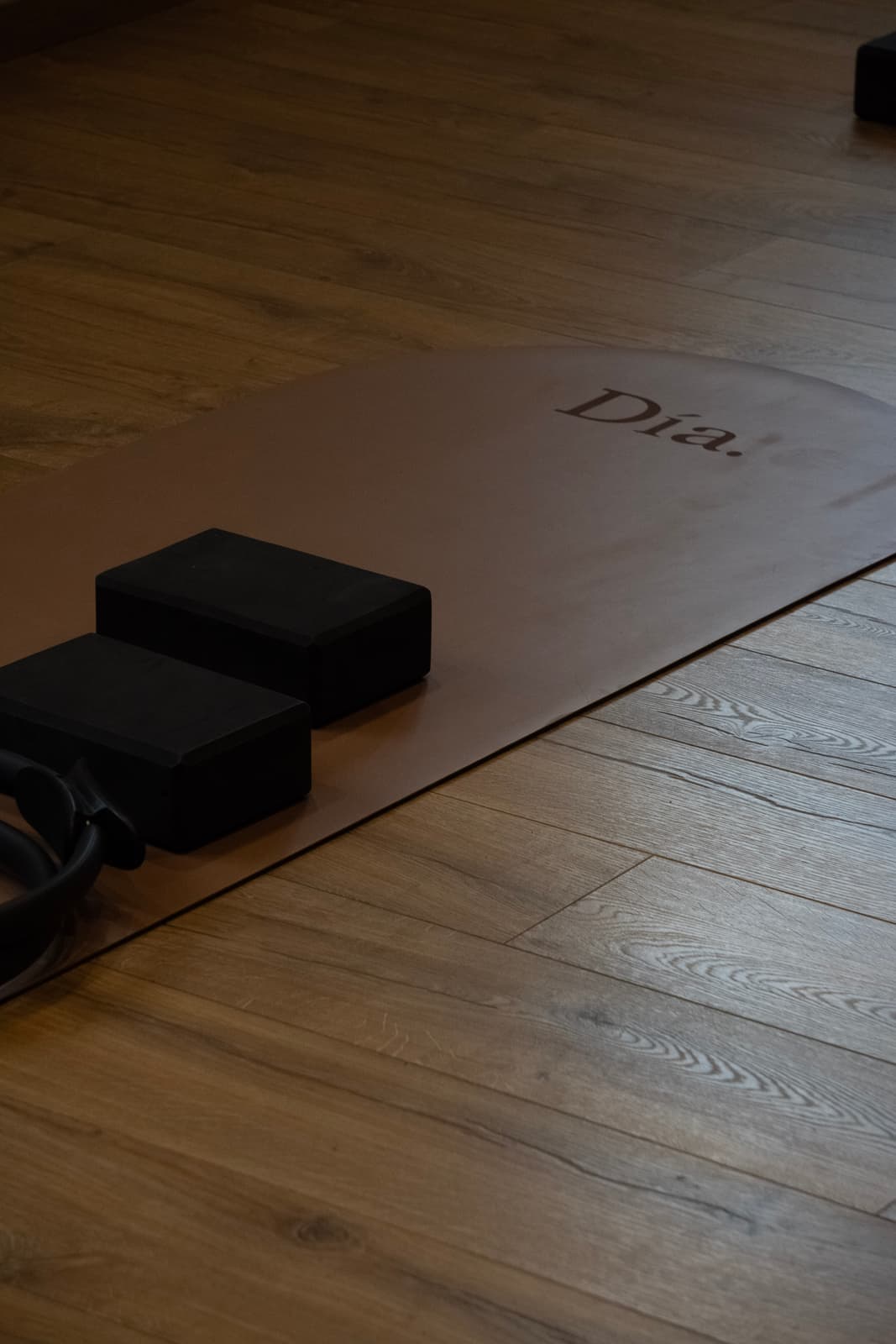 Dia Wellness Club — Général — 64-DSC09950