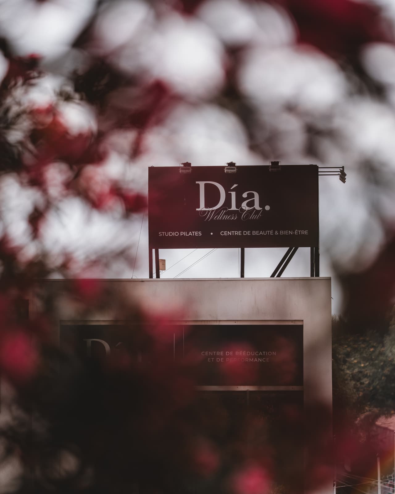 Dia Wellness Club — Général — THI00612
