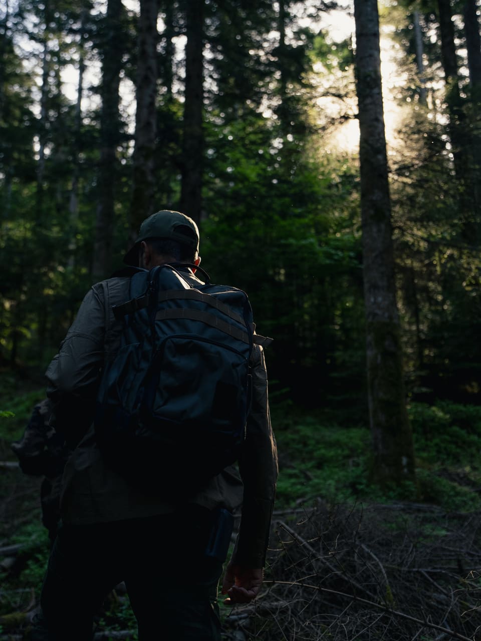 Solognac — TinyForest-A7C08098