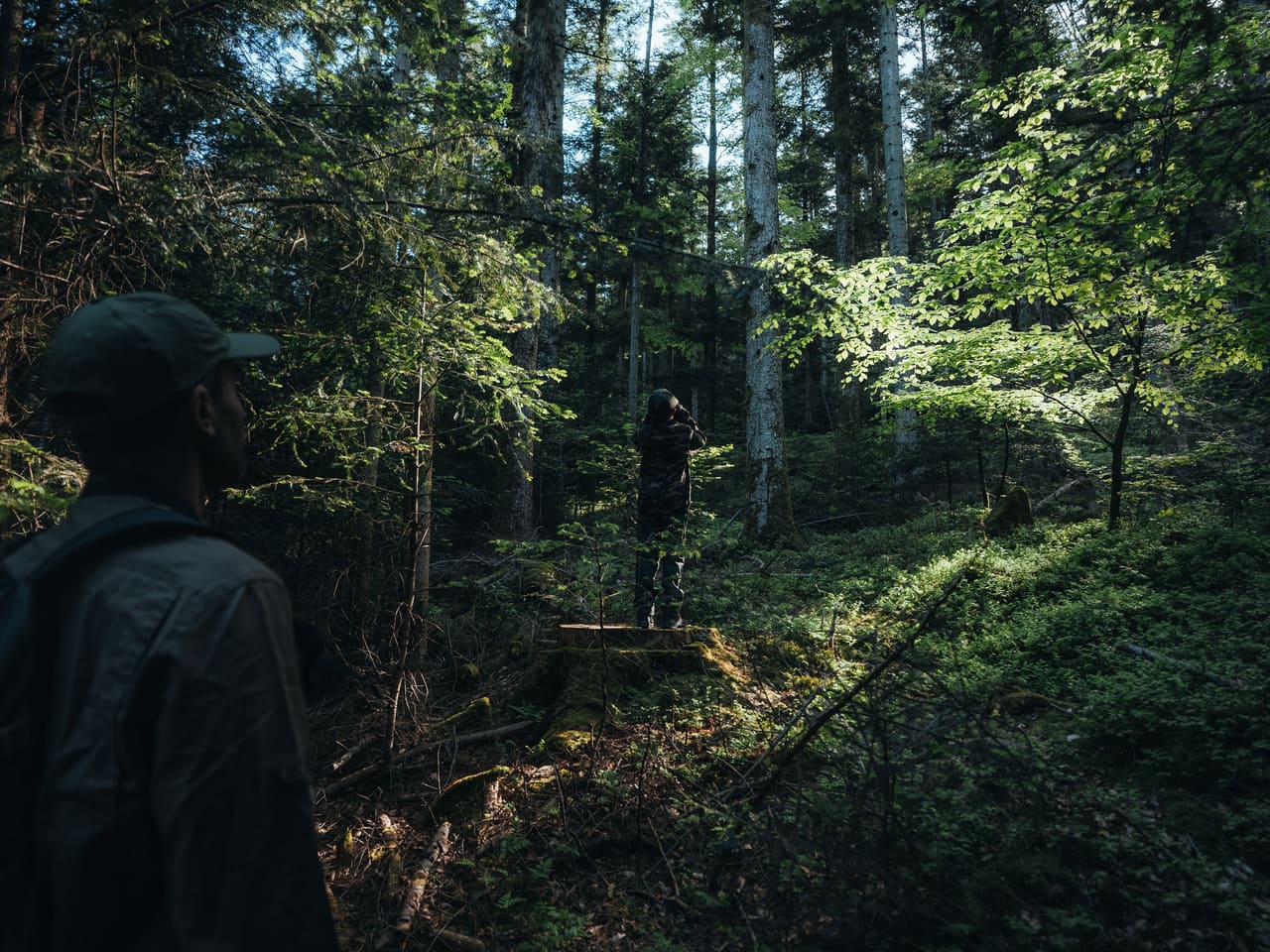 Solognac — TinyForest-A7C08131