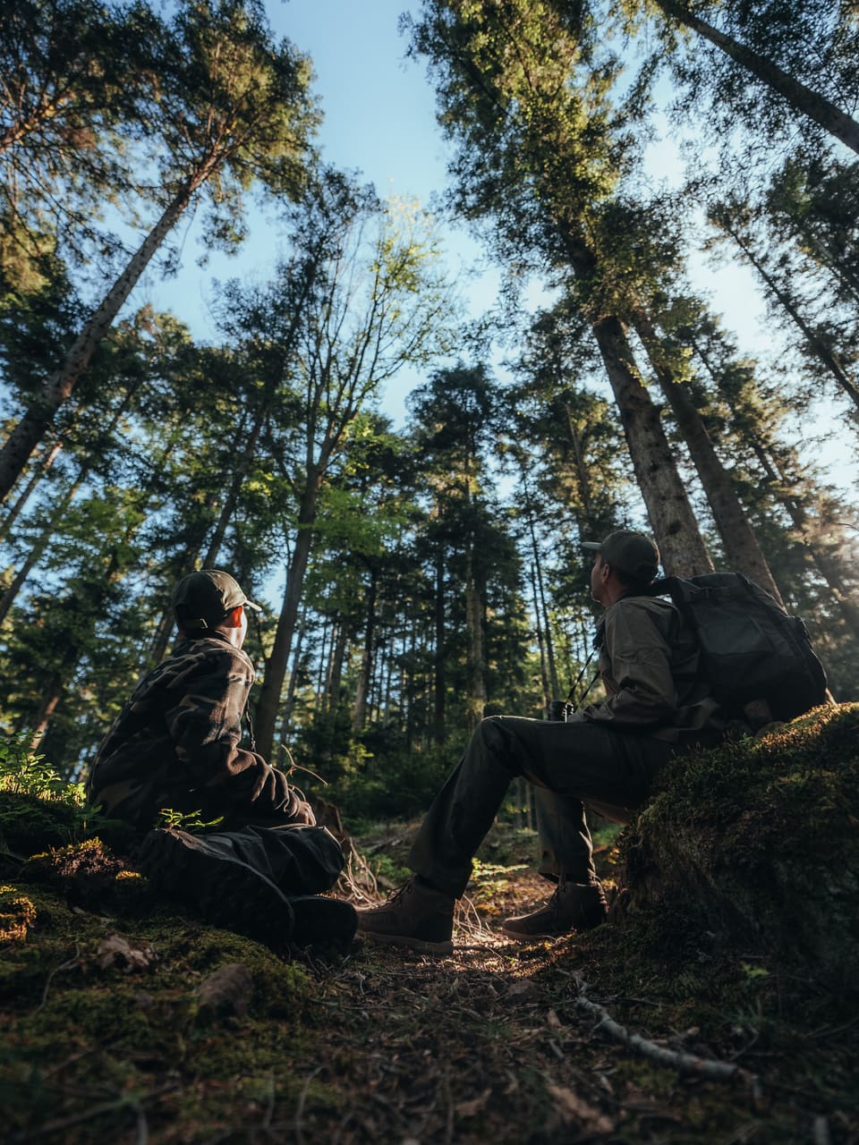 Solognac — TinyForest-A7C08211