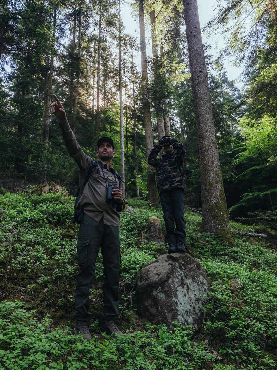 Solognac — TinyForest-A7C08413
