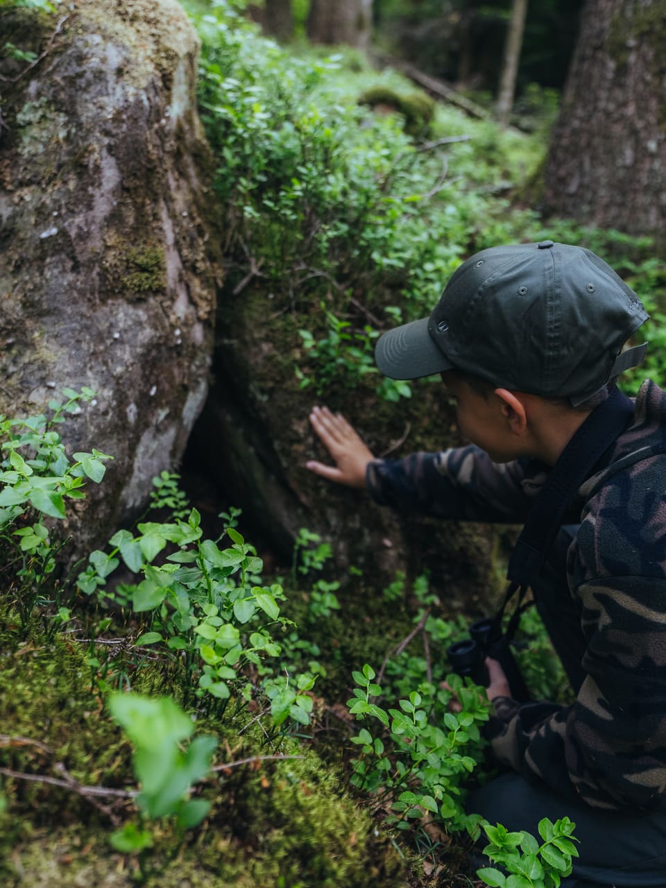 Solognac — TinyForest-A7C08443
