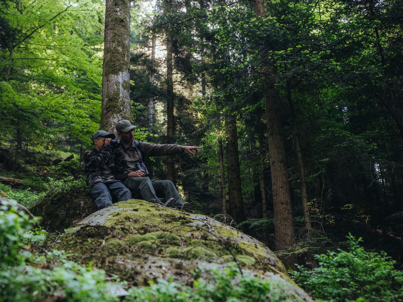 Solognac — TinyForest-A7C08452