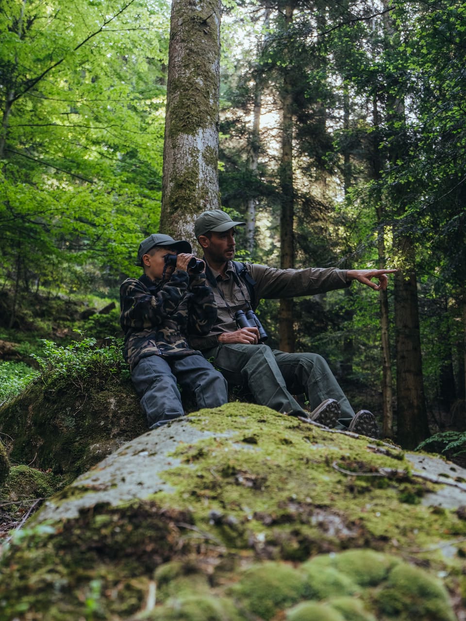 Solognac — TinyForest-A7C08464