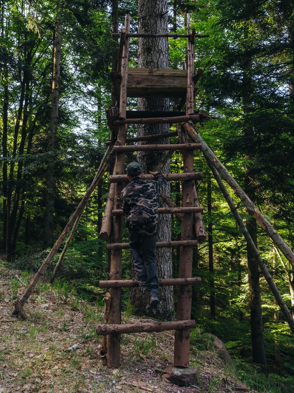 Solognac — TinyForest-A7C08499