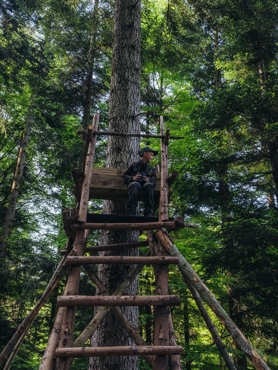 Solognac — TinyForest-A7C08507