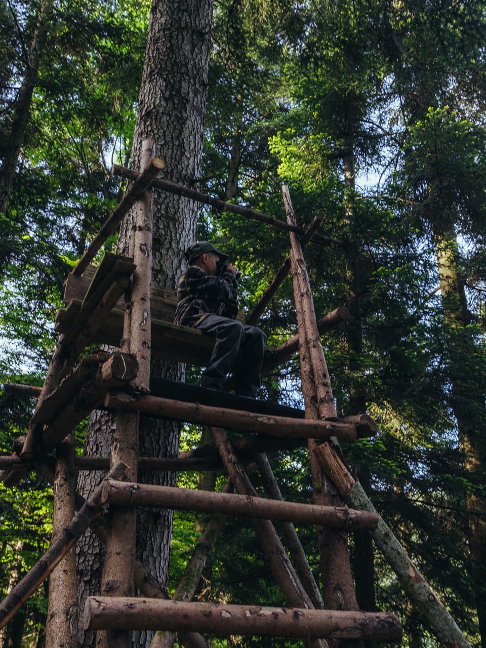 Solognac — TinyForest-A7C08509