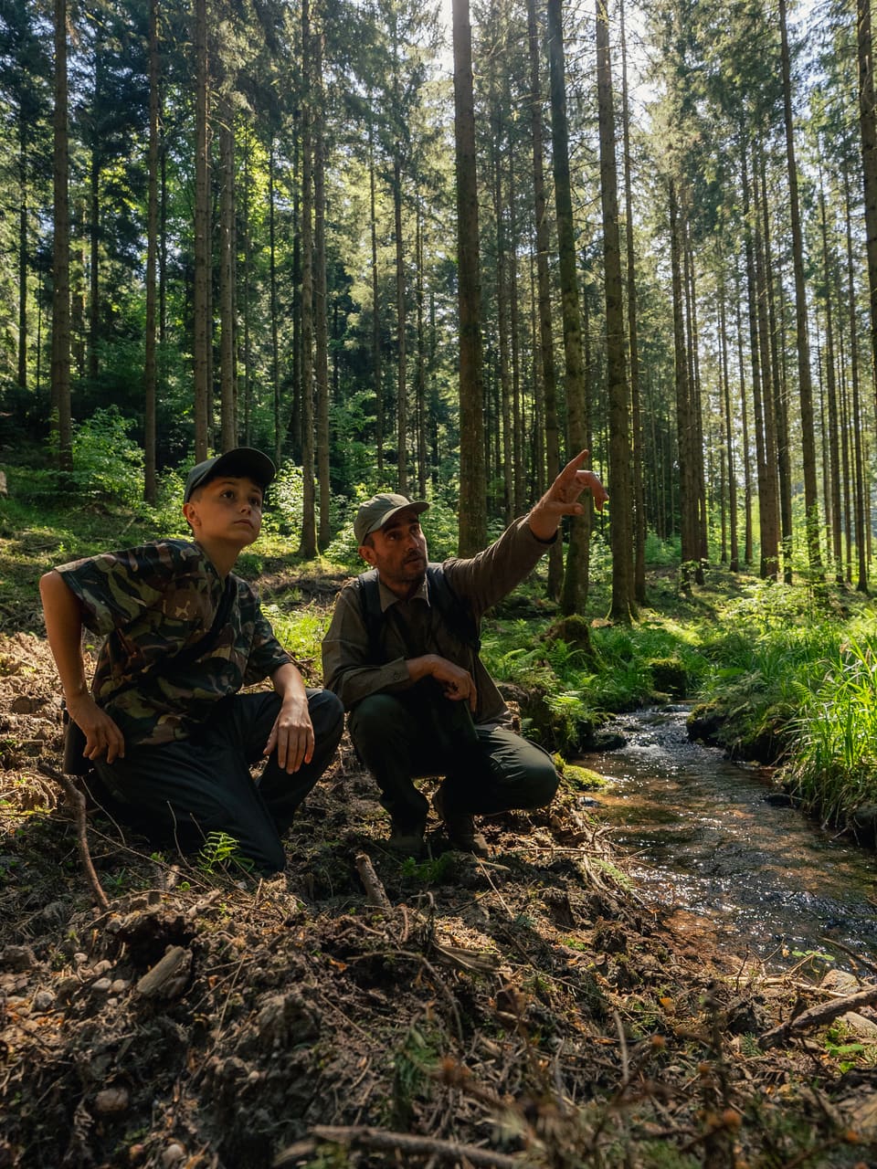 Solognac — TinyForest-A7C08623
