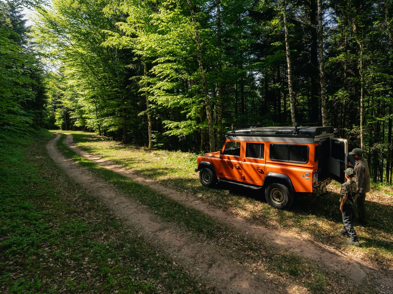 Solognac — TinyForest-A7C08748
