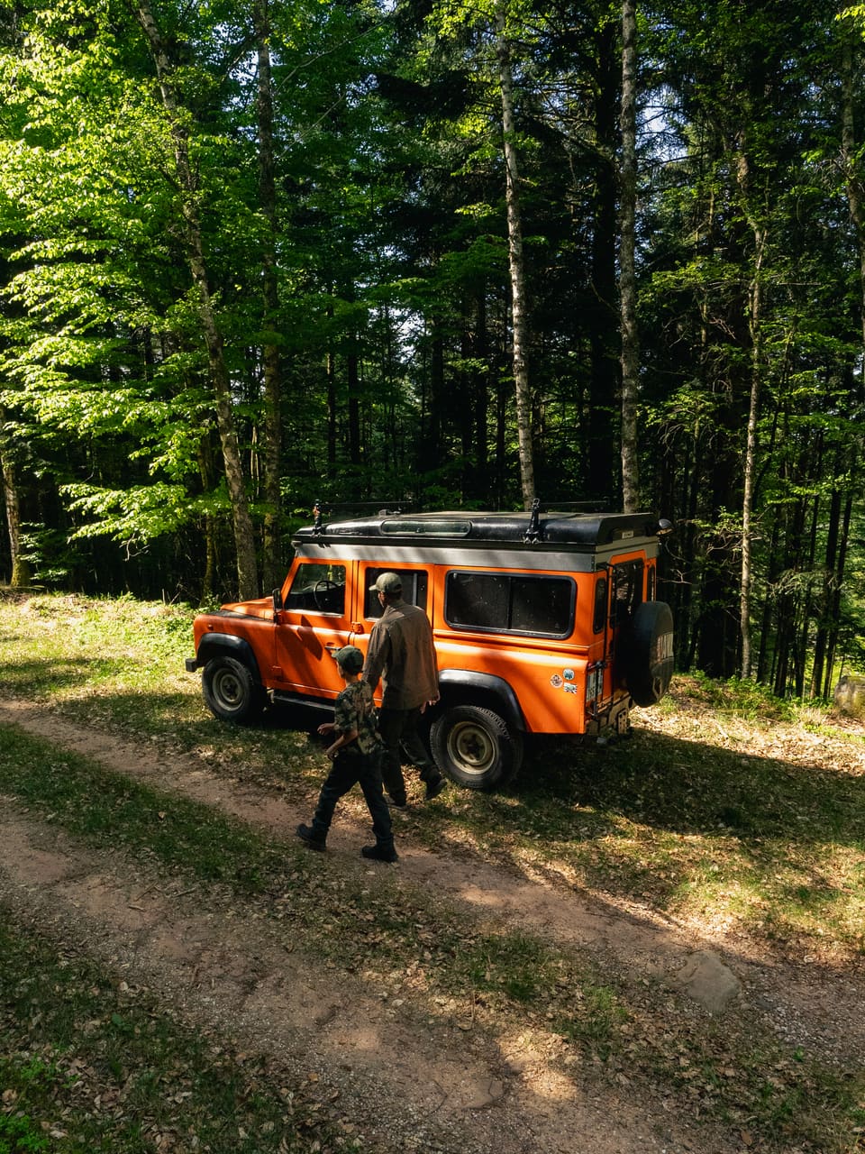Solognac — TinyForest-A7C08751