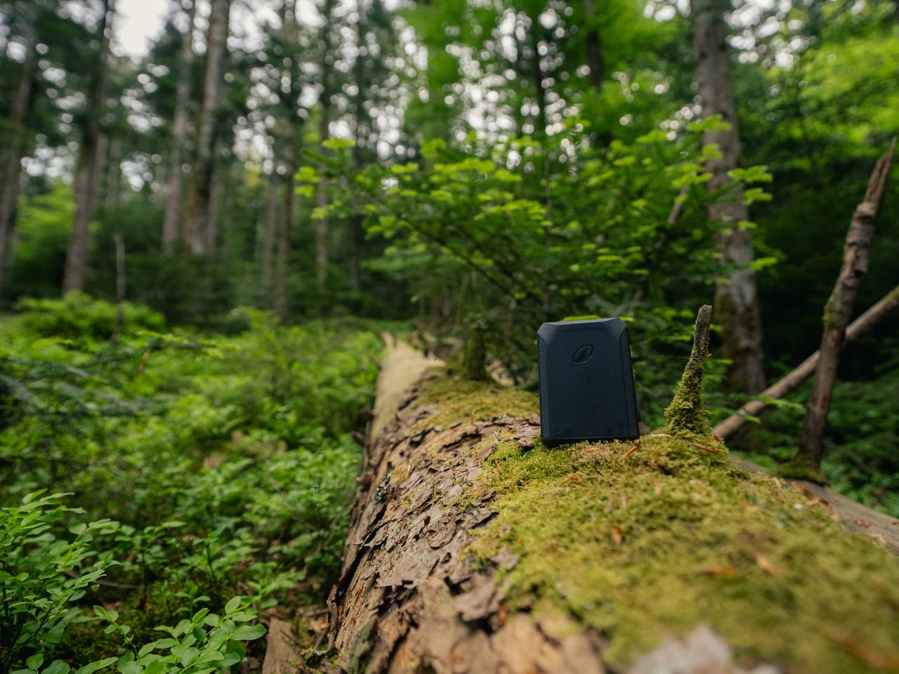 Solognac — TinyForest-A7C08933