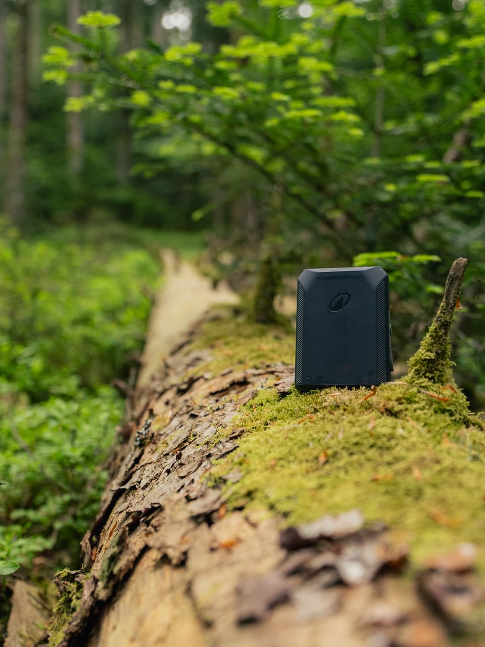 Solognac — TinyForest-A7C08944