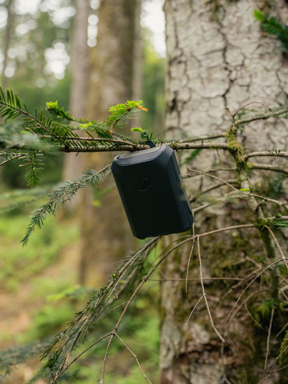 Solognac — TinyForest-A7C08948