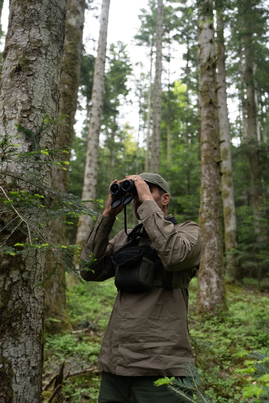 Solognac — TinyForest-A7C08966