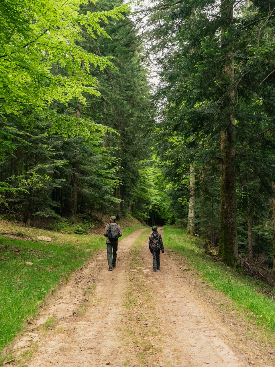 Solognac — TinyForest-A7C09003