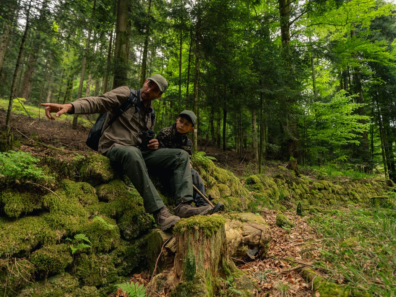 Solognac — TinyForest-A7C09157