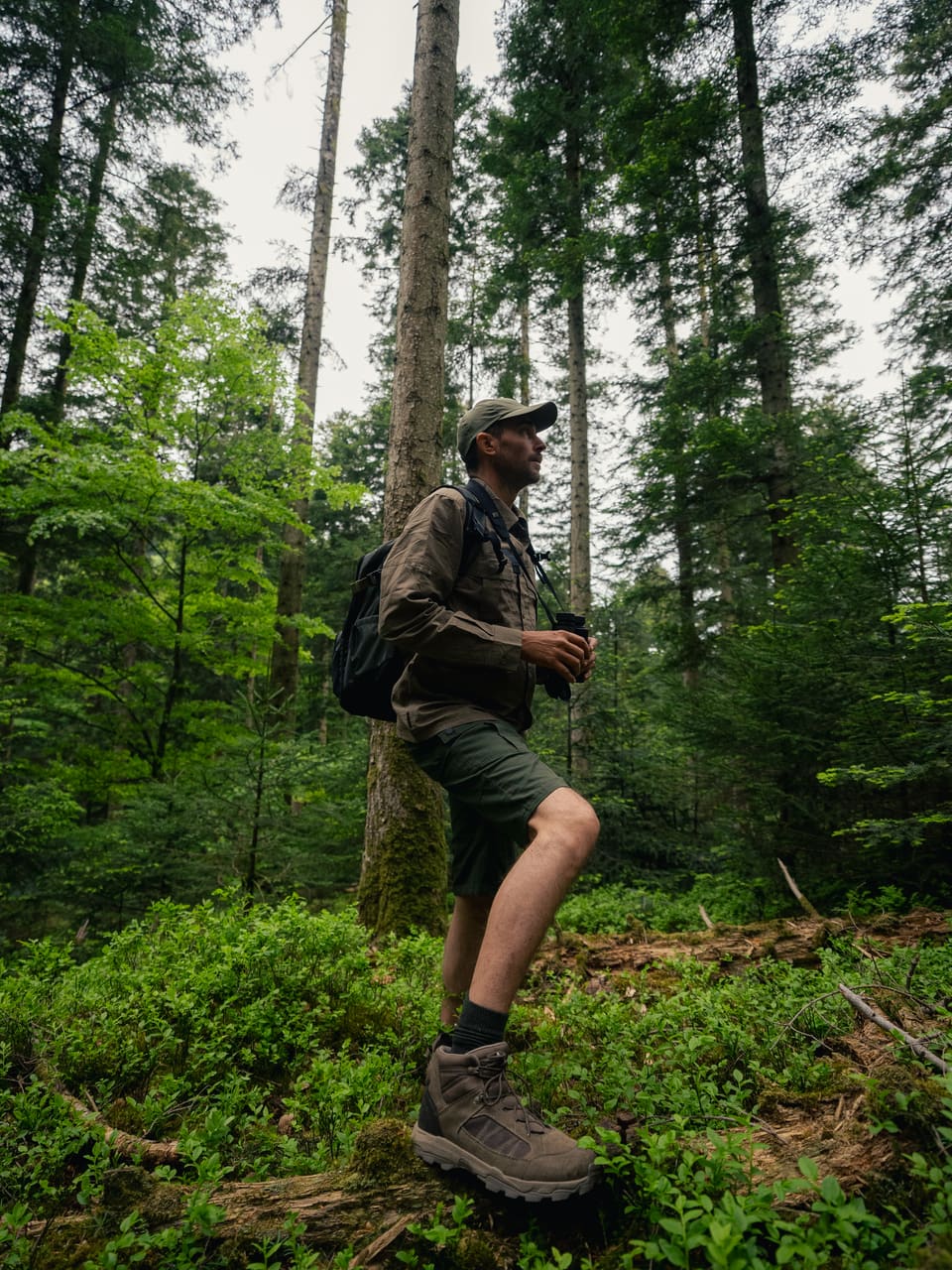 Solognac — TinyForest-A7C09487