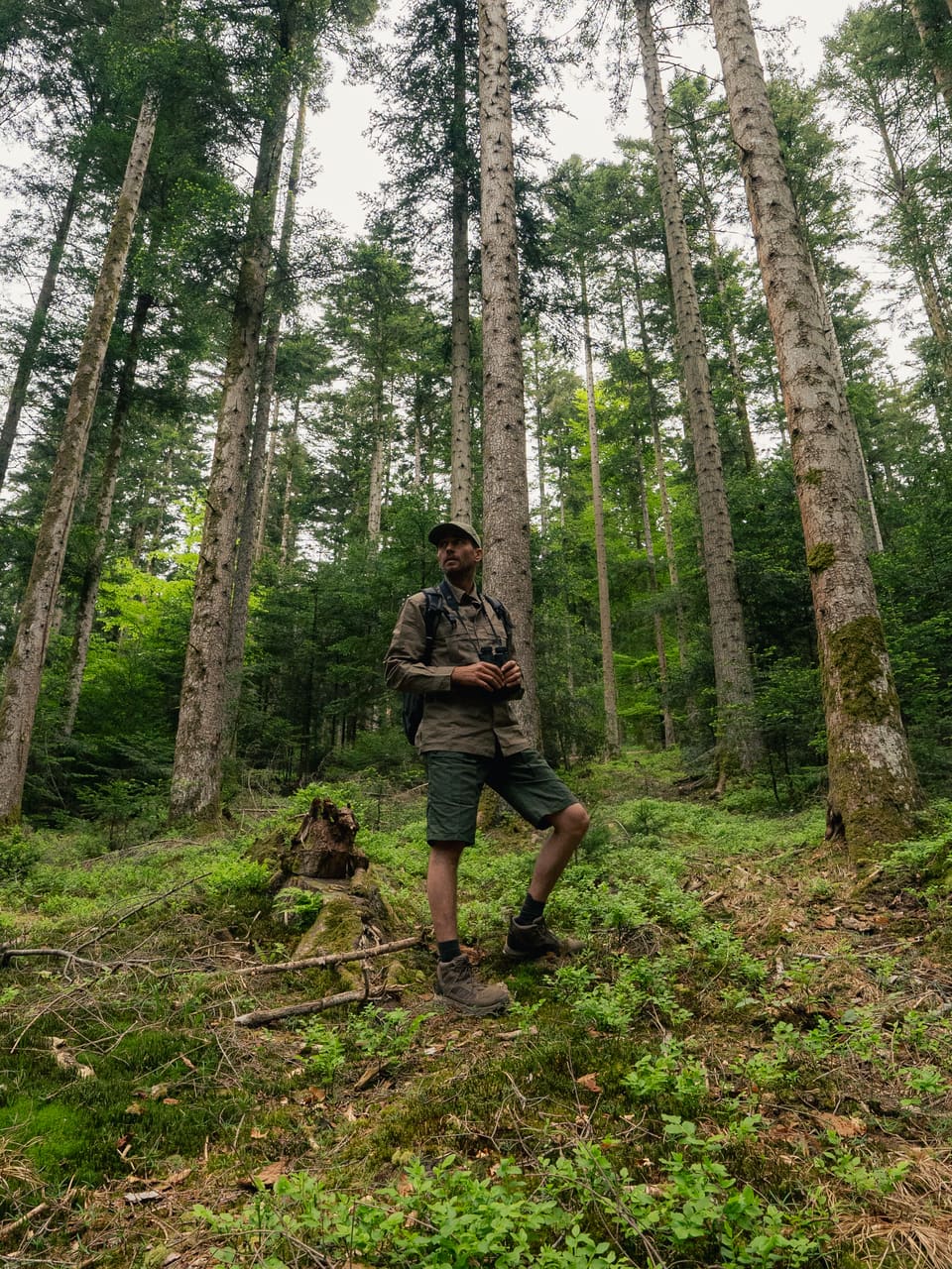 Solognac — TinyForest-A7C09557