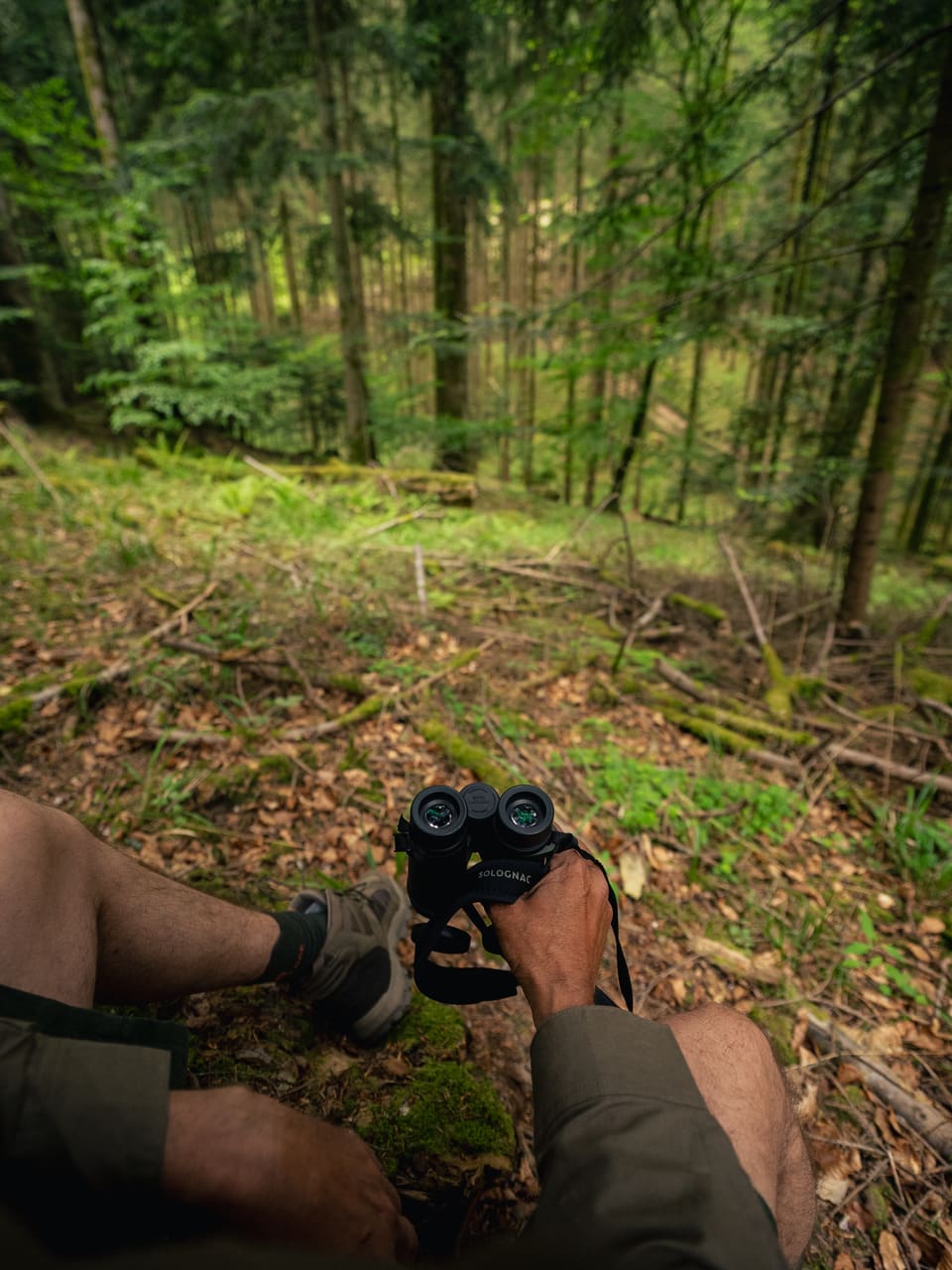 Solognac — TinyForest-A7C09839