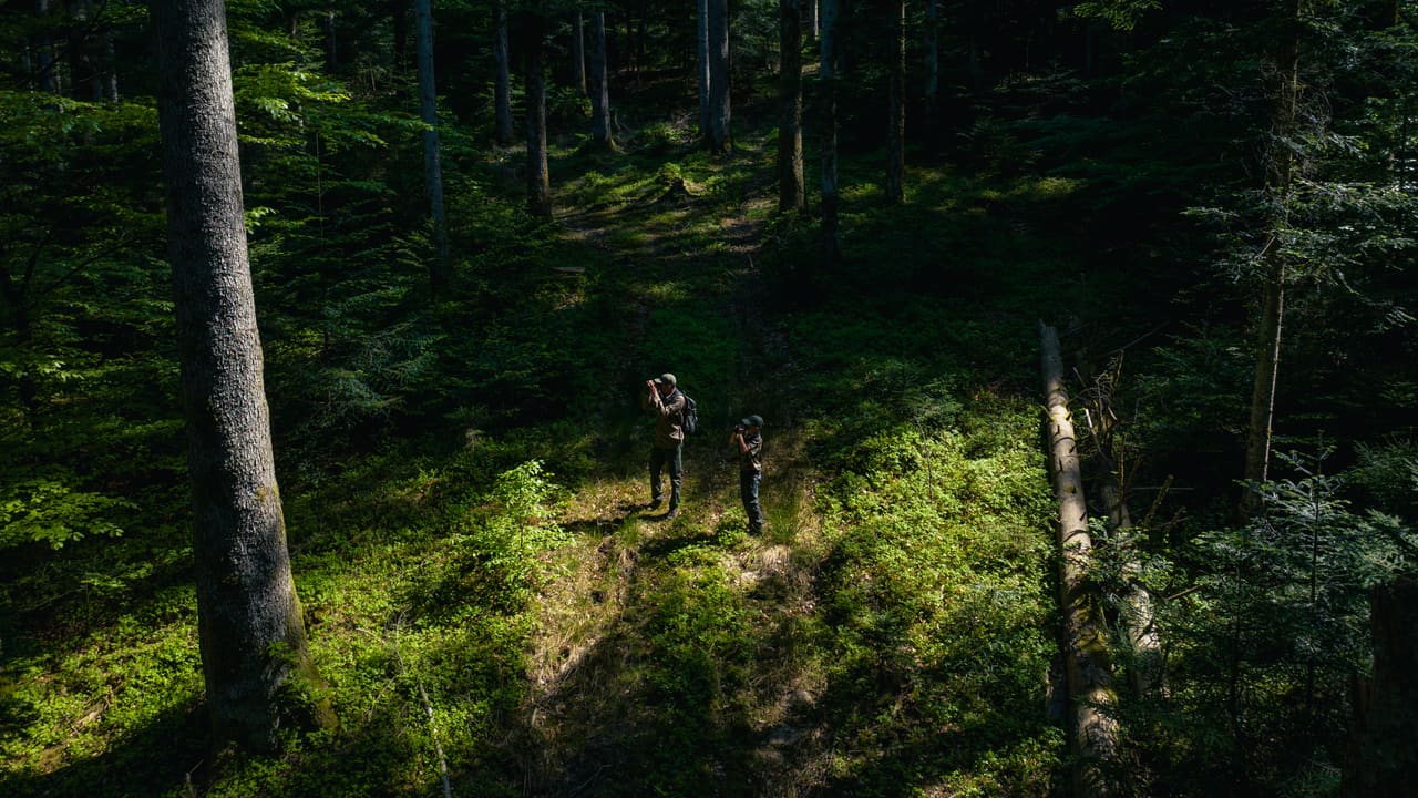 Solognac — TinyForest-DJI_20260502102358_0103_D