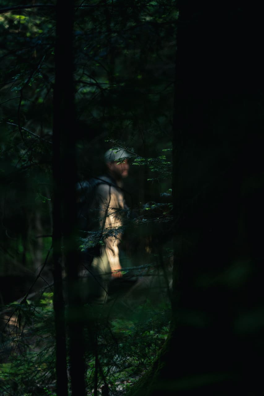 Solognac — TinyForest-THI07323