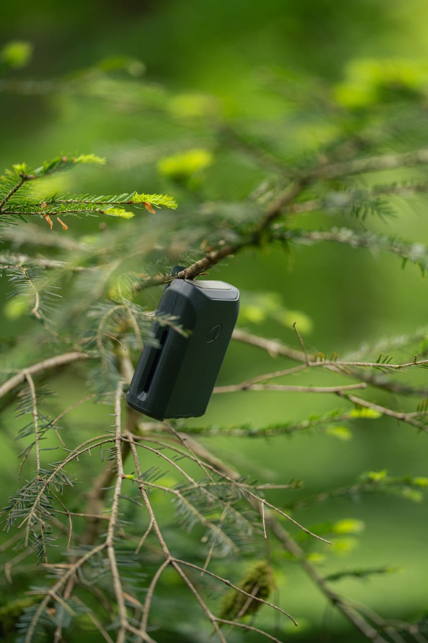 Solognac — TinyForest-THI08502